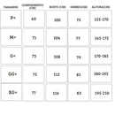 Conjunto Tracksuits França